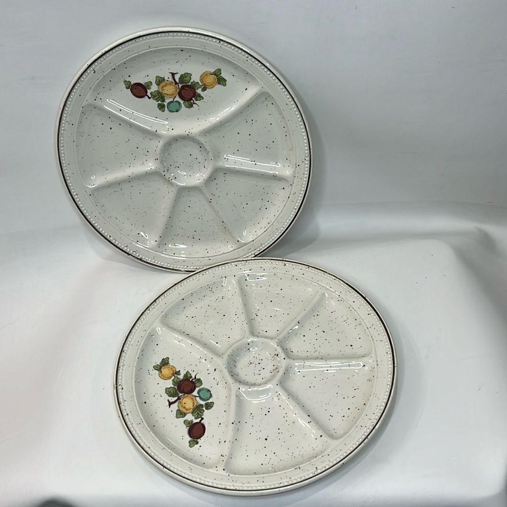 Portion Divided Plate 7 Sections 10 Inches Round Set 2 Raised Textured Speckled